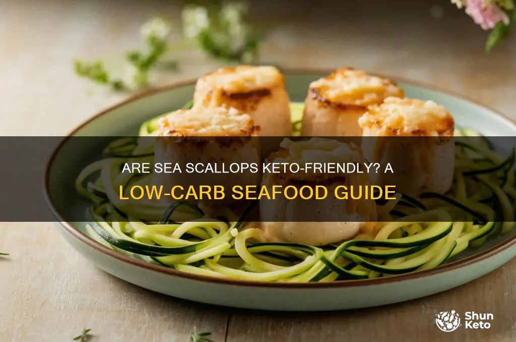 are sea scallops keto