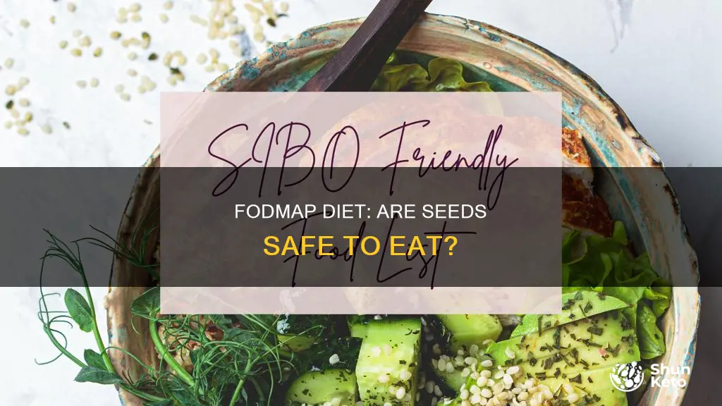 are seeds ok on fodmap diet