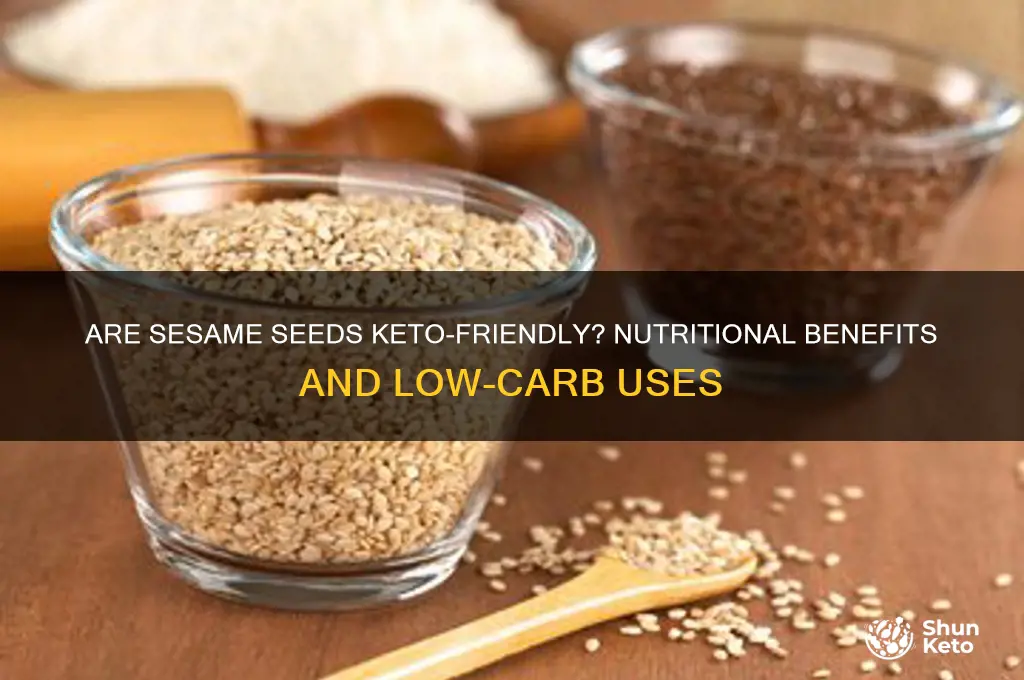 are sesame seeds keto