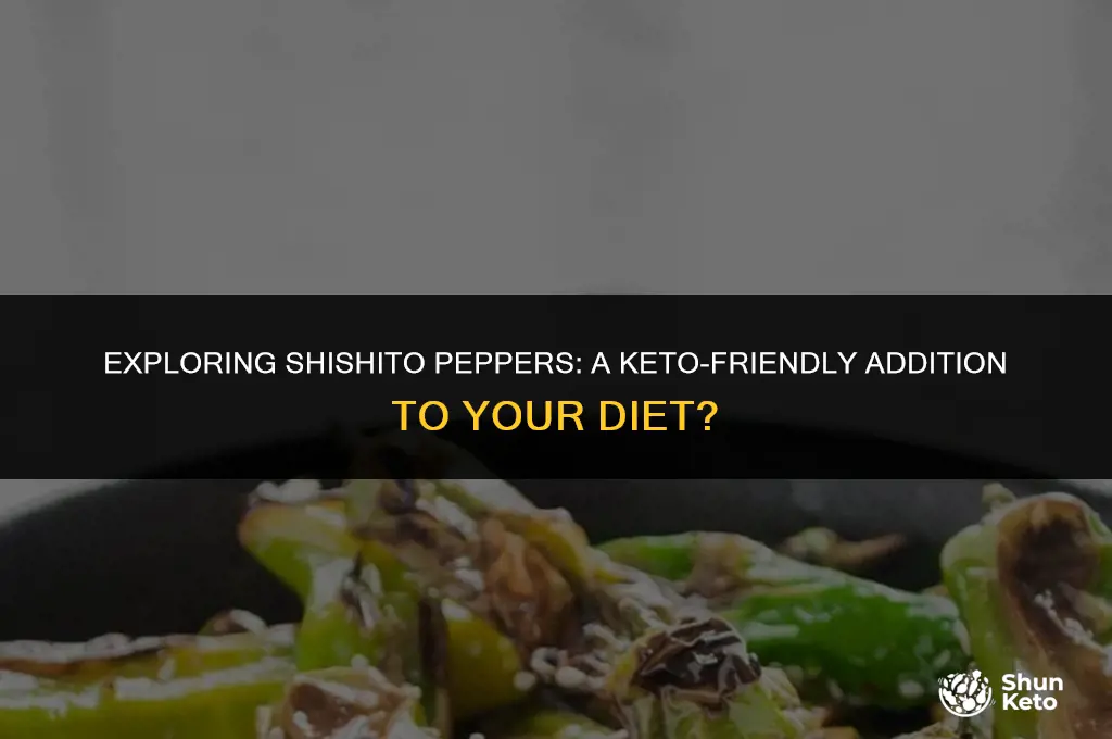 are shishito peppers keto friendly