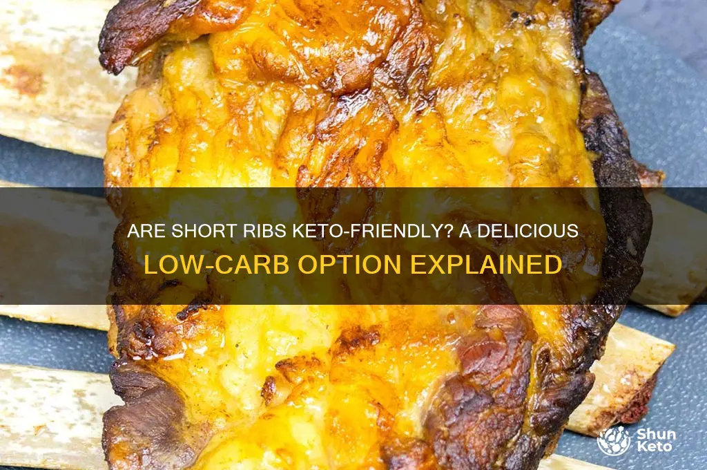 are short ribs keto