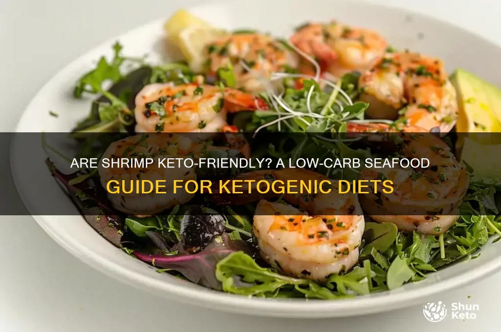 are shrimp keto
