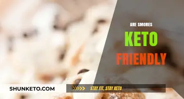 Decoding the Keto S'mores Dilemma: A Delicious Treat or a Dietary No-No?