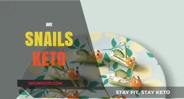 Can Snails Fit into a Keto Diet? Nutritional Insights Revealed