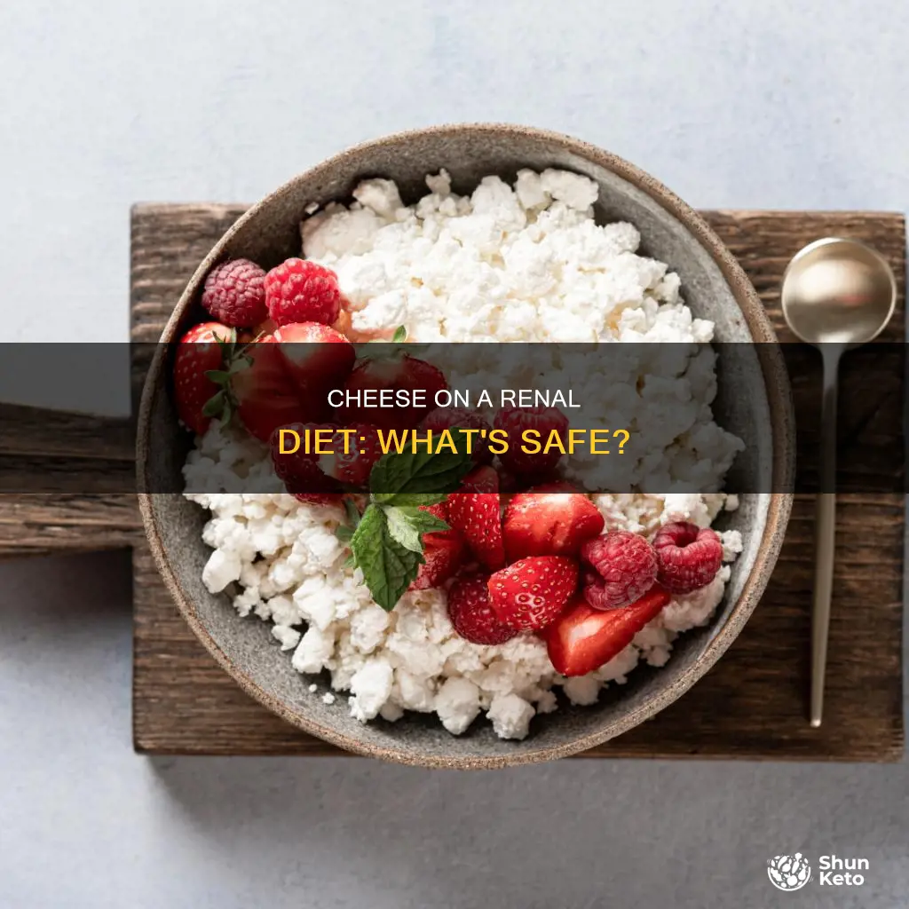 are some cheese ok on a renal diet
