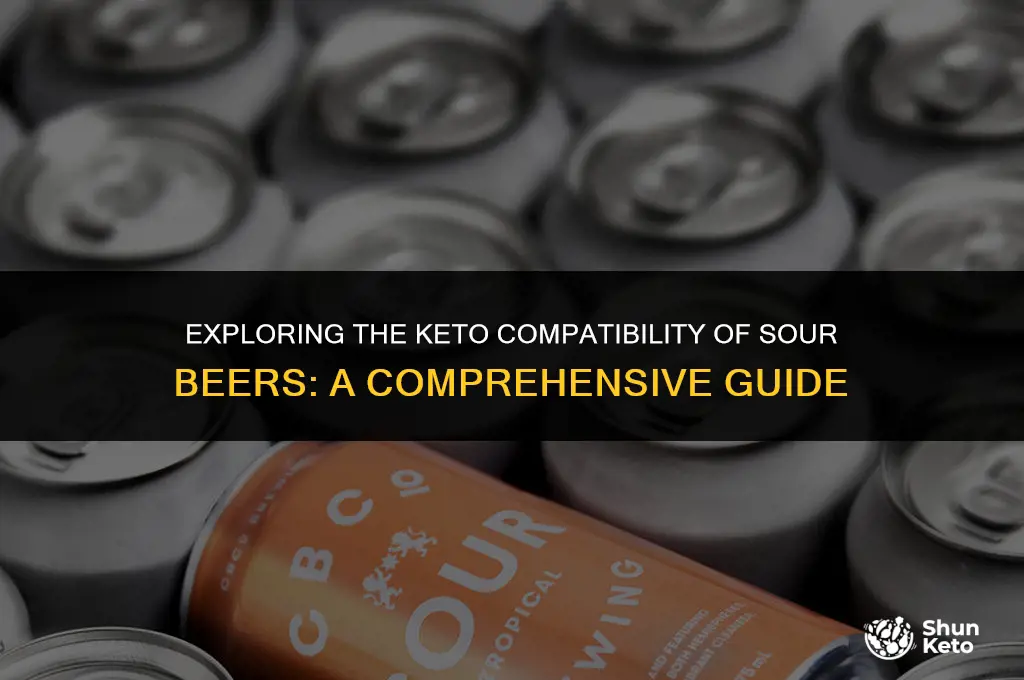 are sour beers keto friendly