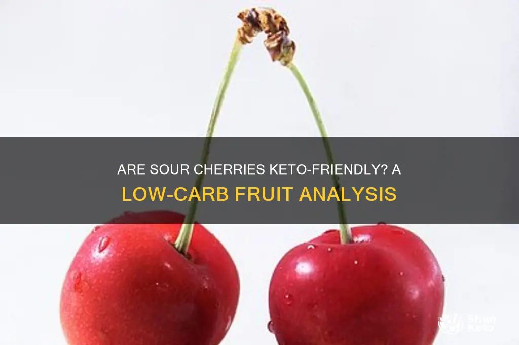 are sour cherries keto