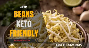 Exploring Soybeans: A Keto-Friendly Option or Not?