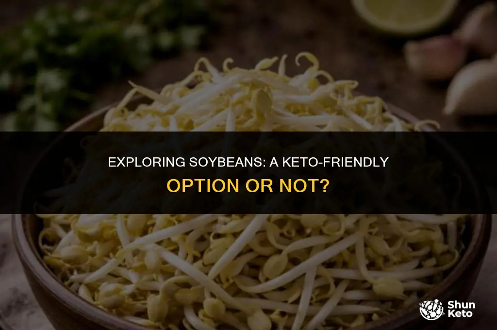 are soy beans keto friendly