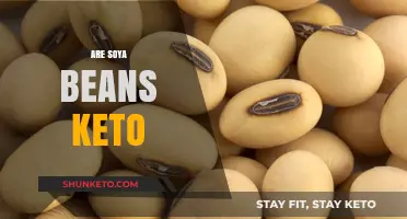 Are Soybeans Keto-Friendly? Unraveling the Truth for Low-Carb Diets