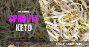 Are Soybean Sprouts Keto-Friendly? Nutrition Facts and Benefits Explained