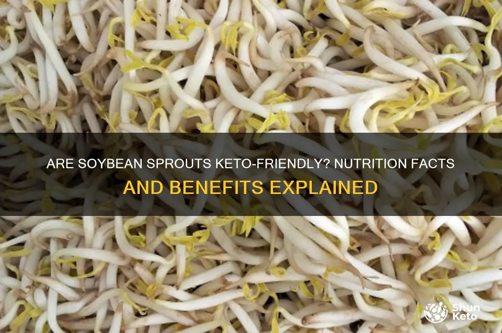 are soybean sprouts keto