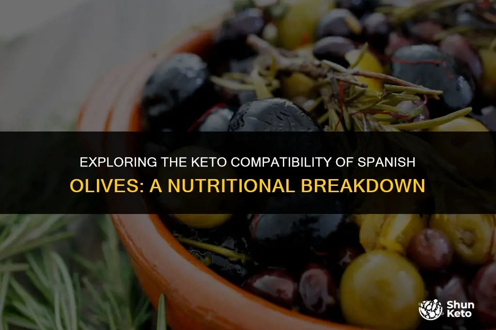 are spanish olives keto friendly