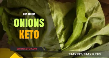 Are Spring Onions Keto-Friendly? Nutrition Facts and Low-Carb Tips