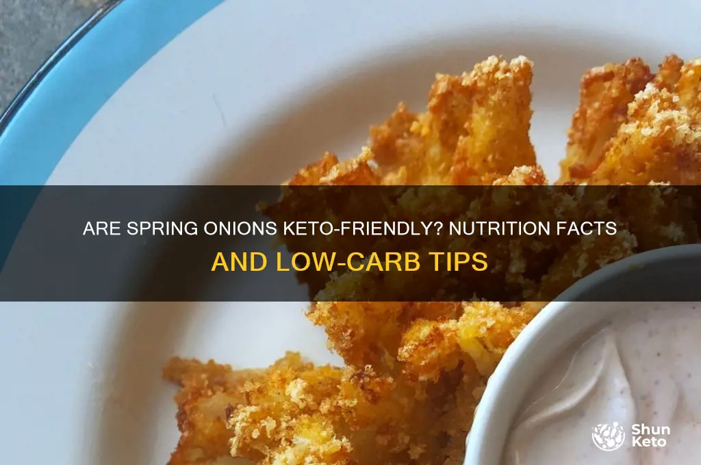 are spring onions keto