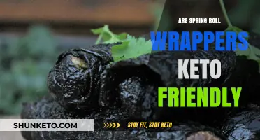 Exploring Keto-Friendly Spring Roll Wrappers: A Comprehensive Guide