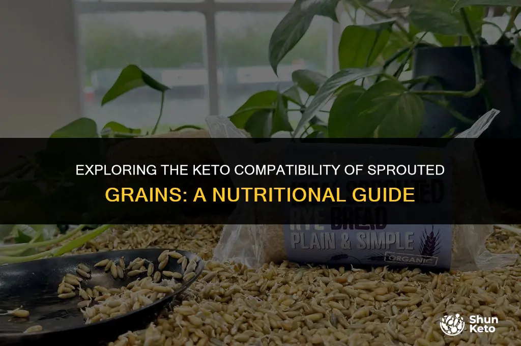 are sprouted grains keto friendly