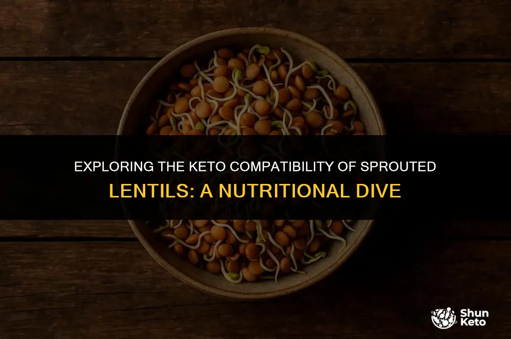 are sprouted lentils keto friendly