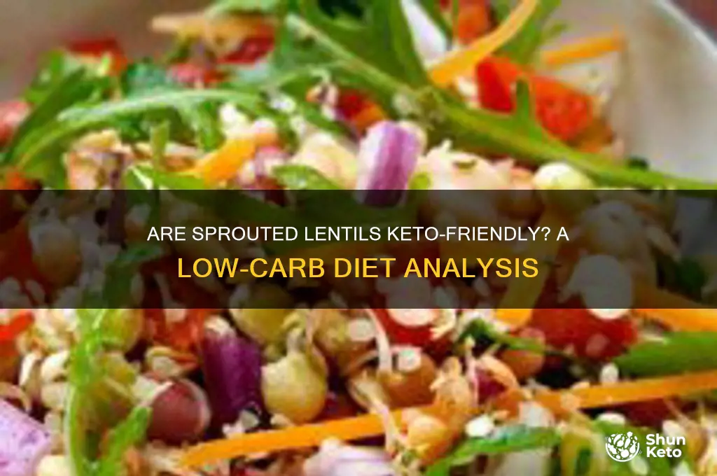 are sprouted lentils keto