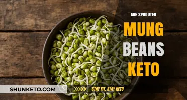 Are Sprouted Mung Beans Keto-Friendly? A Low-Carb Diet Analysis