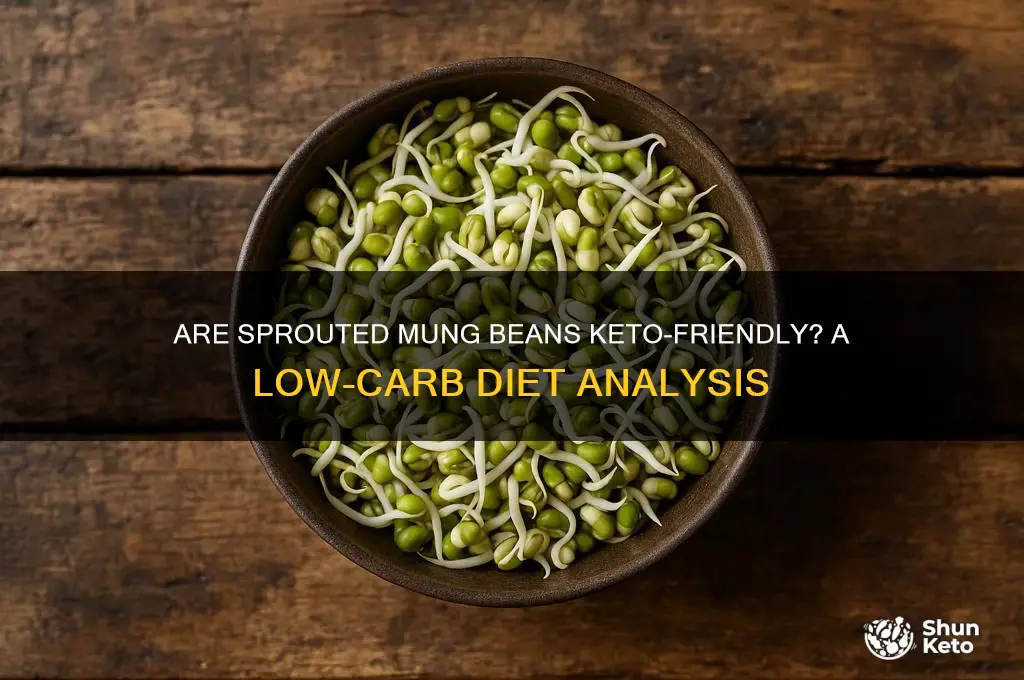 are sprouted mung beans keto