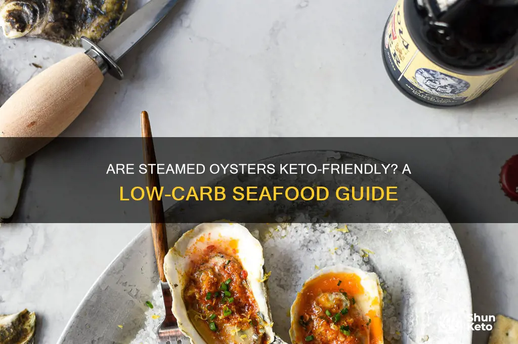 are steamed oysters keto