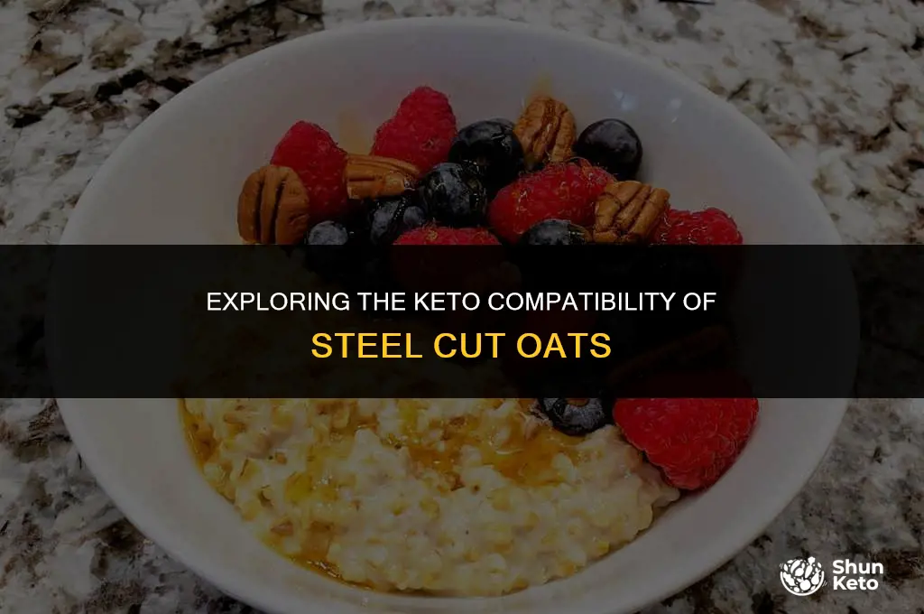 are steel cut oats keto friendly