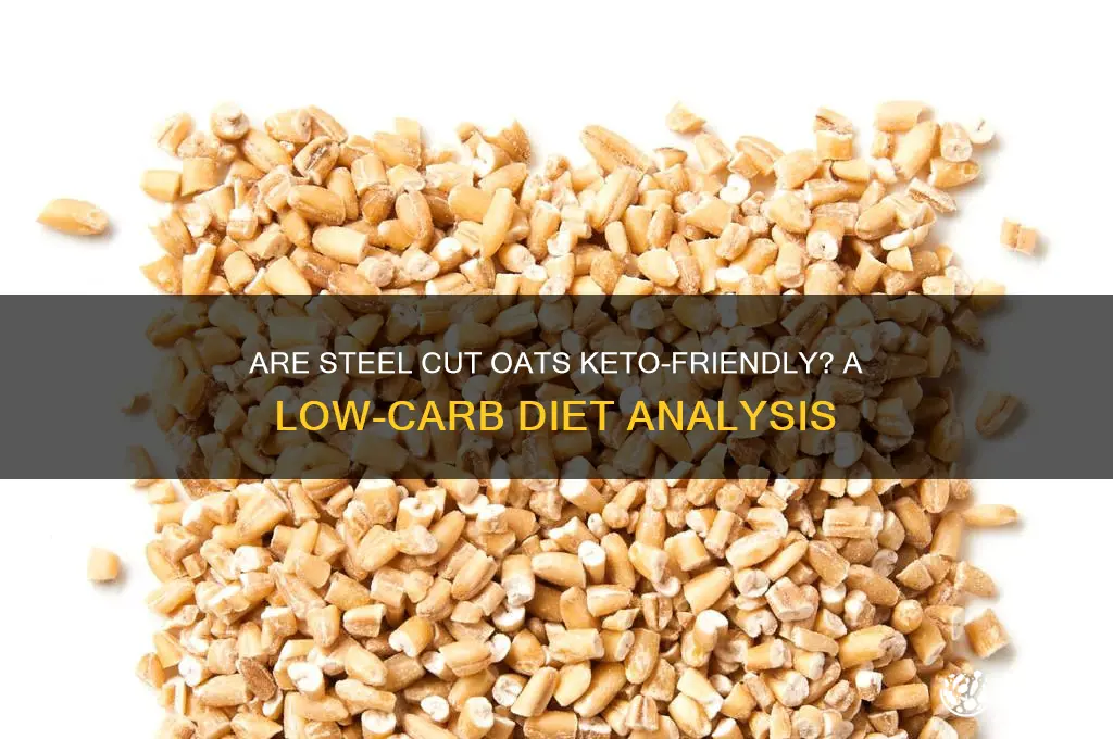 are steel cut oats keto