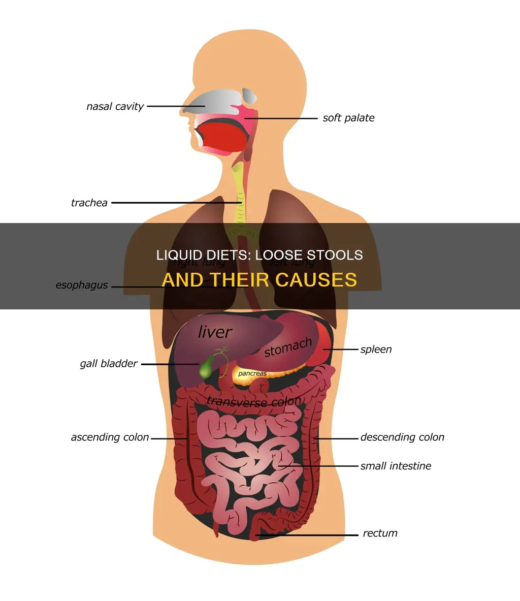 are stools loose on a liquid diet