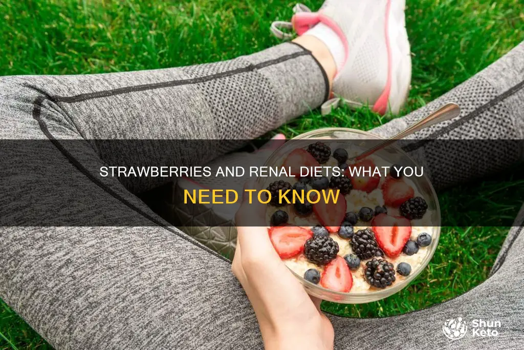 are strawberries ok for renal diet