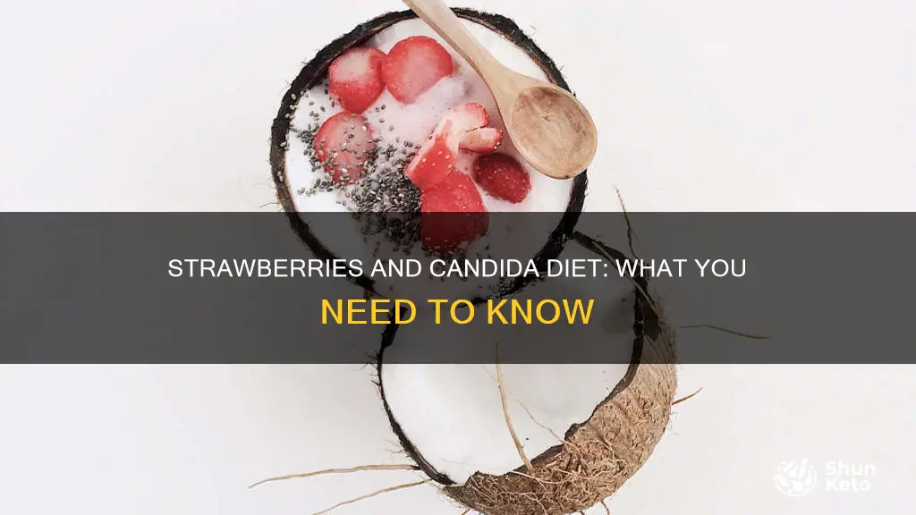 are strawberries ok on candida diet