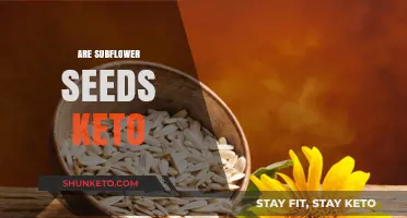 Are Sunflower Seeds Keto-Friendly? Nutrition Facts and Low-Carb Tips