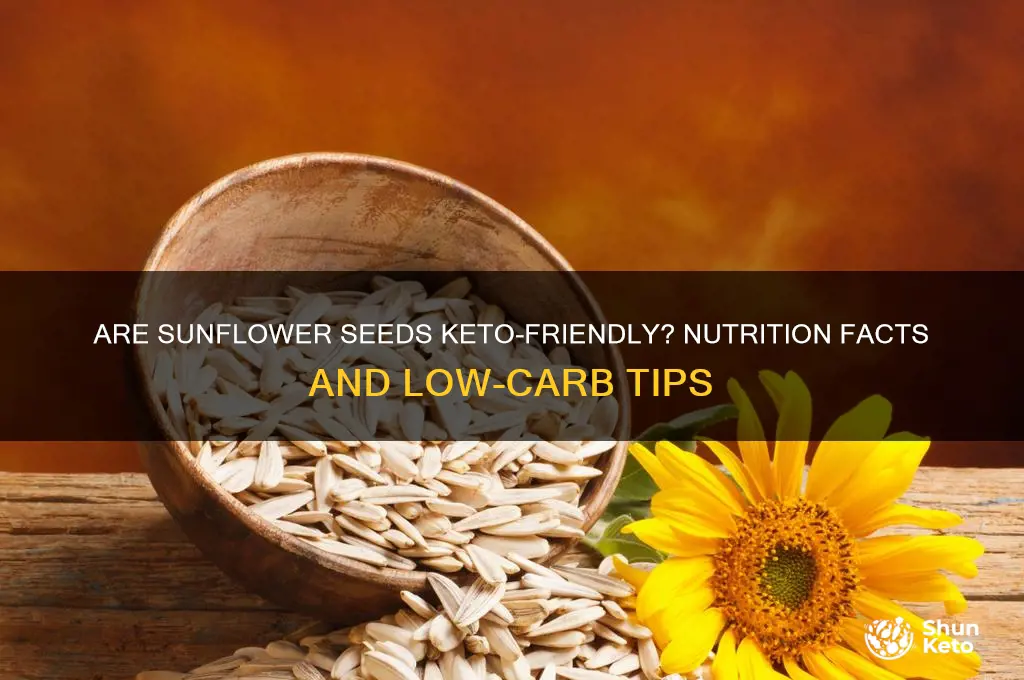 are subflower seeds keto