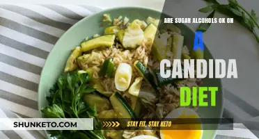 Sugar Alcohols: Friend or Foe on a Candida Diet?