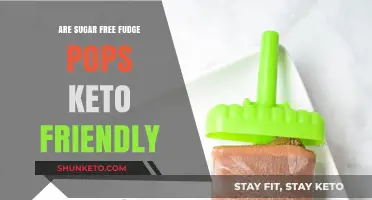Sweet Treats on Keto: The Truth About Sugar-Free Fudge Pops