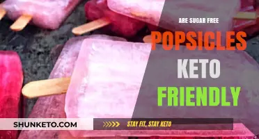 Sweet Treats on Keto: The Truth About Sugar-Free Popsicles