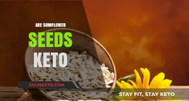 Are Sunflower Seeds Keto-Friendly? A Low-Carb Snack Guide