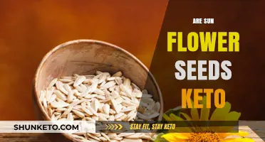 Are Sunflower Seeds Keto-Friendly? A Low-Carb Snack Guide