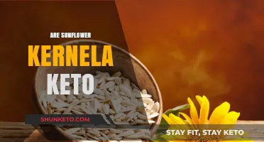 Are Sunflower Kernels Keto-Friendly? A Nutritional Breakdown