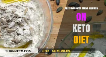 Can You Eat Sunflower Seeds on a Keto Diet?