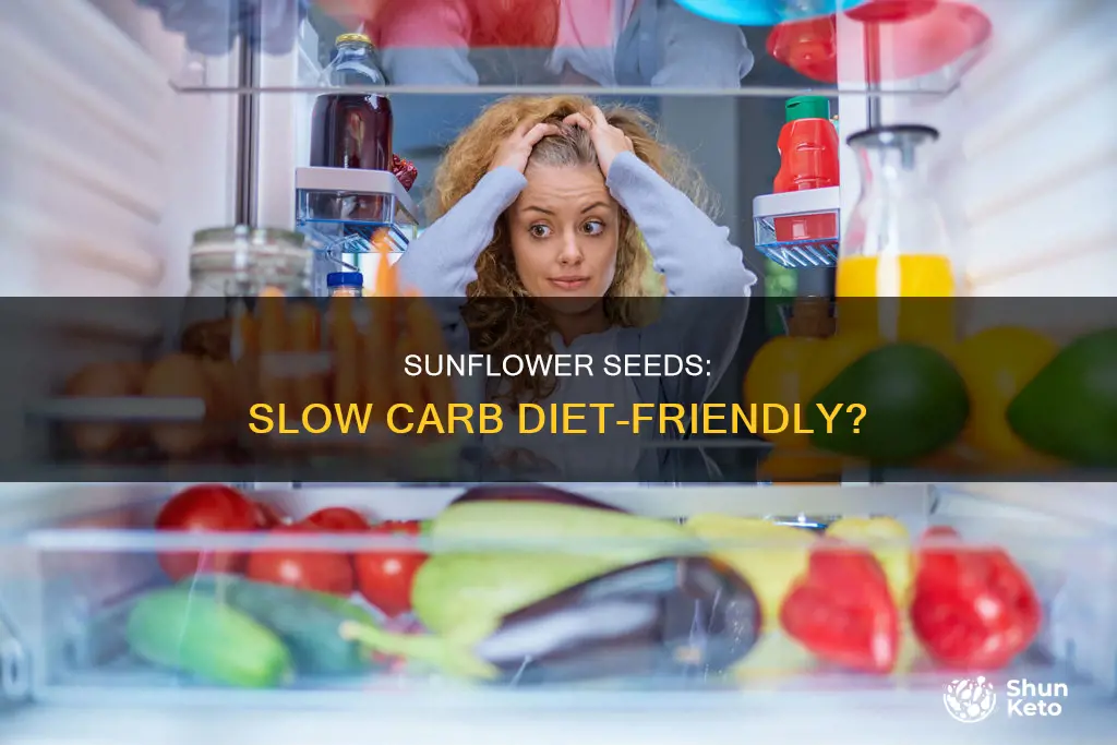 are sunflower seeds allowed on the slow carb diet