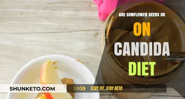Sunflower Seeds: Candida Diet-Friendly Superfood?