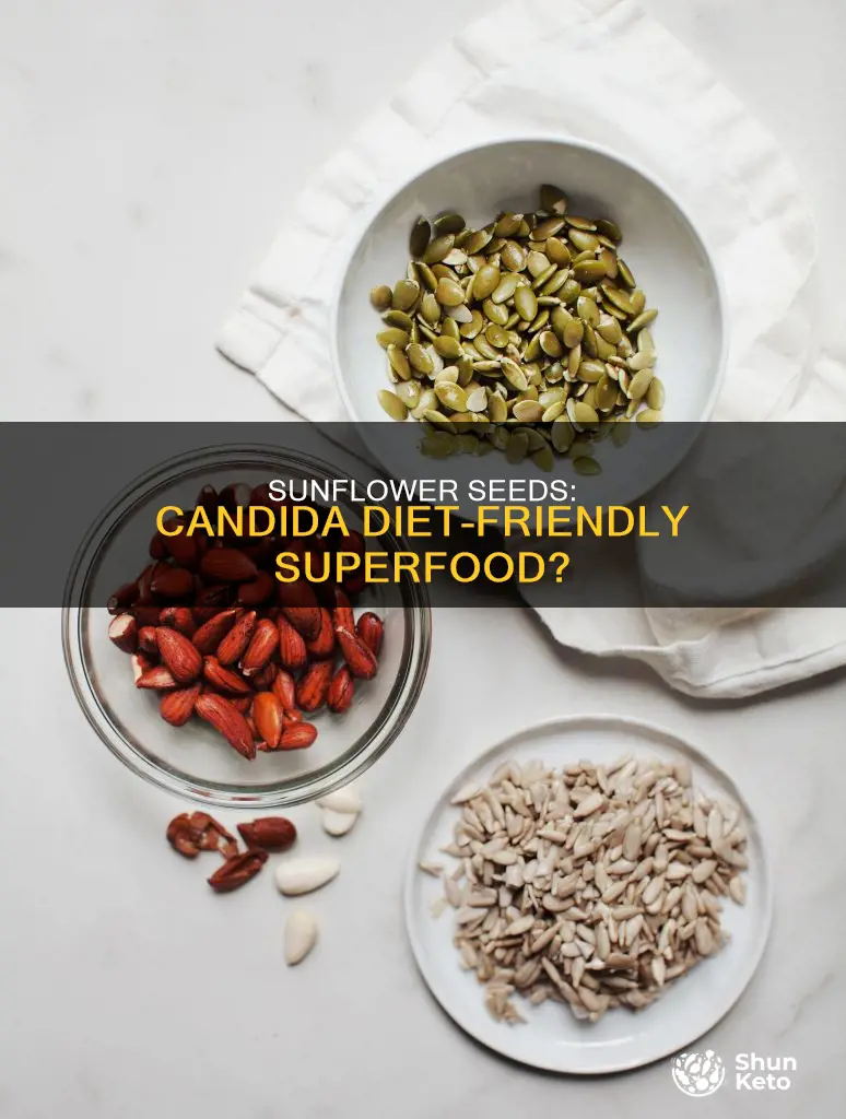 are sunflower seeds ok on candida diet