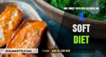 Sweet Potato Soft Diet: What You Need to Know