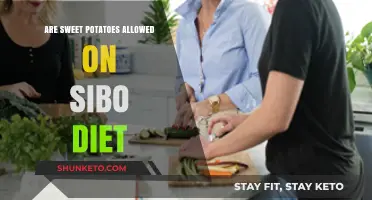 Sweet Potato Consumption and the SIBO Diet