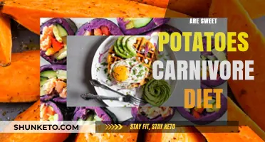Sweet Potatoes: Carnivore Diet Friends or Foes?