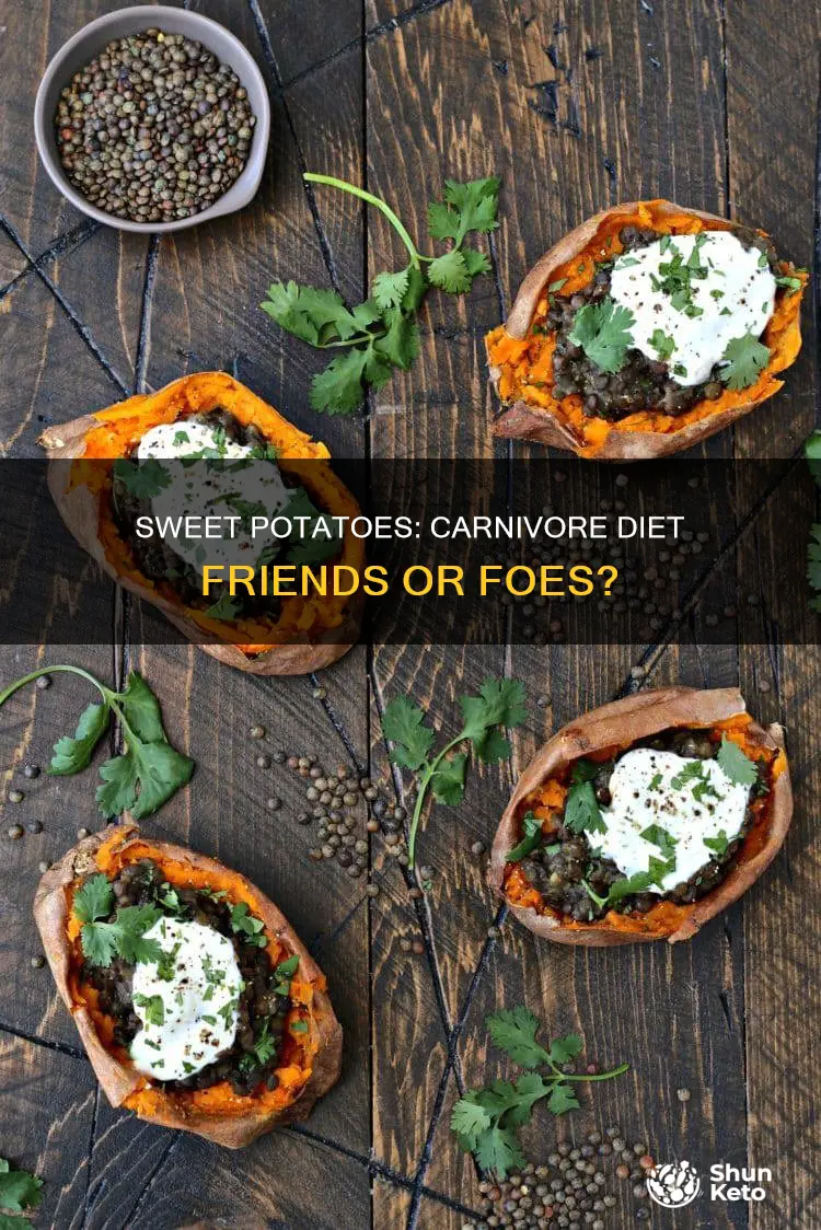 are sweet potatoes carnivore diet