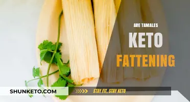 Are Tamales Keto-Friendly? Uncovering Their Fat Content and Diet Impact