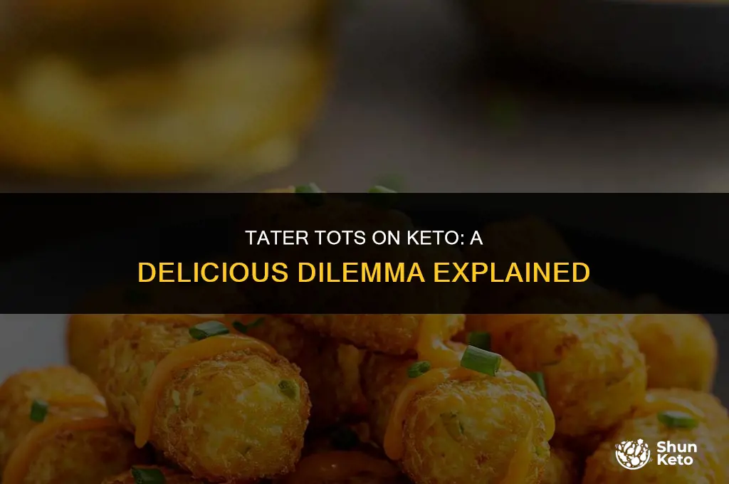 are tater tots keto friendly