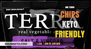 Crunching the Numbers: Are Terra Chips Keto Friendly?